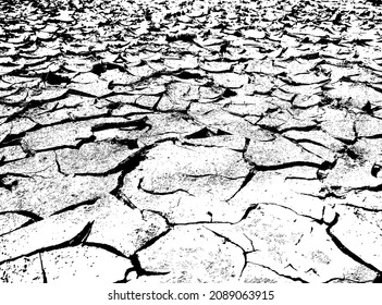 The texture of dry cracked earth. Dried soil. Black and white vector illustration.