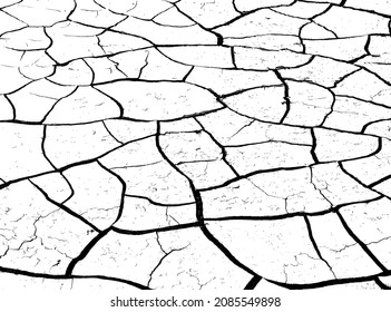 Texture of dry cracked earth. Structure of cracking soil. Black and white vector illustration.