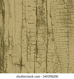 Texture - Dry Wood, for your design. EPS10 vector.