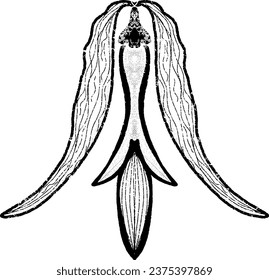 Texture flower. Graphics, stylization, linocut. Vector element.