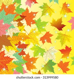 Texture with flying colorful autumn maple leaves