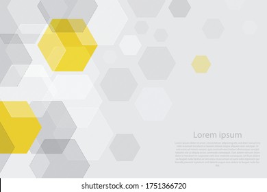 texture geometric pattern.Abstract paper Hexagon white background  pattern with copy space. Premium Vector