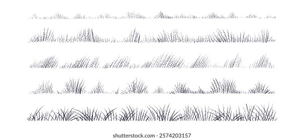 Texture grass. Crayon hand drawn board set. Vector pastel chalk sketch. Thickets of meadow grass. Wild field scribble illustration isolated on a transparent background