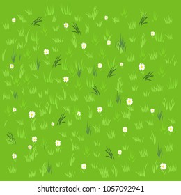 texture of a green grass with white daisies on a green background