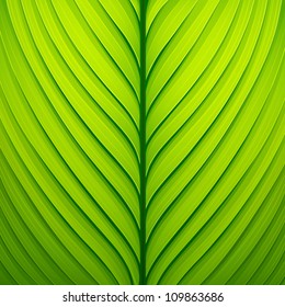 Texture of a green leaf. Vector illustration