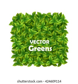 Texture of green leaves. Vector illustration. Vector design.