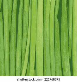 texture of green onions - background - healthy eating