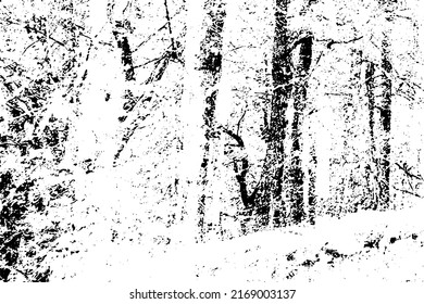 Texture of grunge marble. Distressed white and black design. Modern background of torn stone. Granite with a monochrome surface. Illustration in vector format.