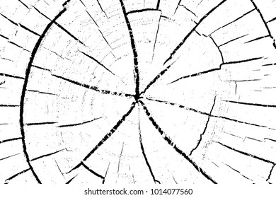 Texture for grungy effect . Abstract surface. Transparent background. Only black colors in vector.