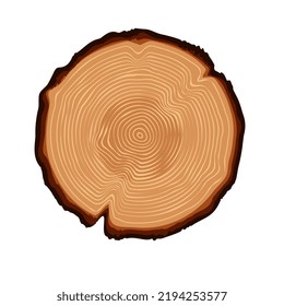 Texture à l'intérieur du bois, illustration vectorielle
