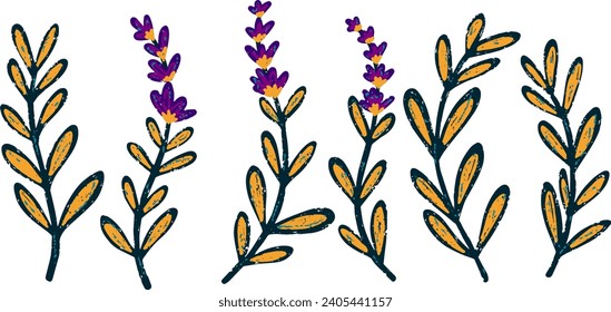 
Ramas de lavanda de textura dibujadas a mano. Conjunto de vectores, clipart, paquete