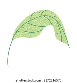texture leaf isolated icon flat