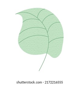 texture leaf natural icon isolated