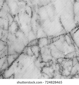 Texture from lines. Black lines that makes a texture like a marble 