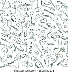 Texture. Microgreens. Low calorie diet and healthy eating. The contour image of sprouts and seeds of various edible greens on a white background. Text. The outline is dark green. Design. Vector.