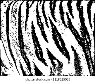Texture of natural fur, tiger.Template. Grunge background. Abstract vector illustration.Object isolated on white