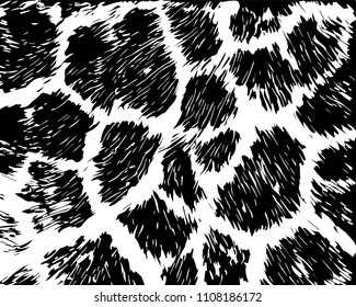 Texture of natural skin,giraffe. Grunge background. Abstract vector illustration.  Object isolated on white