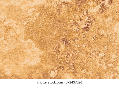 the texture of natural stone, sandstone, limestone, granite