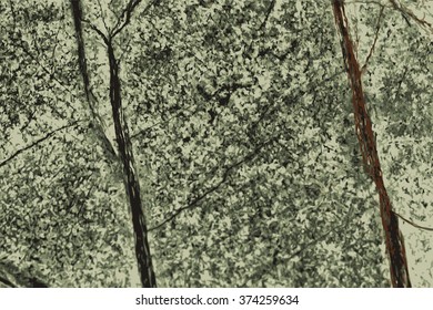 the texture of natural stone, sandstone, limestone, granite