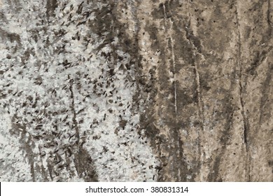 the texture of natural stone, sandstone, limestone, granite