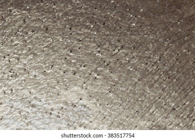the texture of natural stone, sandstone, limestone, granite