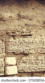 Texture from old coquina (limestone) brown wall. Surface texture of masonry wall. Vector