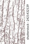Texture of old maple tree bark
