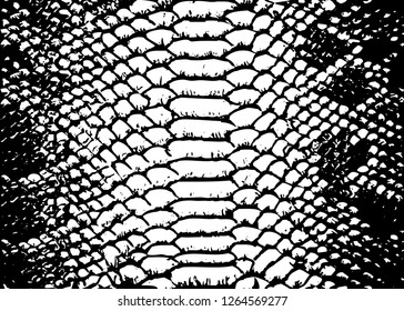 texture pattern black white snake crocodile reptile seamless repeat