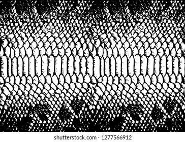 Texture Pattern Black White Snake Seamless Stock Vector (Royalty Free ...