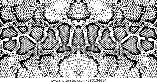 テクスチャー柄の黒い白いヘビ のベクター画像素材 ロイヤリティフリー