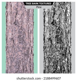 The texture of pine bark. Vector isolated realistic black and white and multicolor illustration of pine trunks.