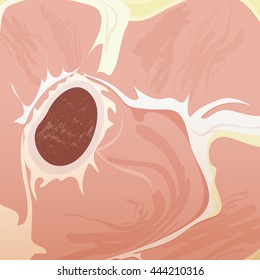 Texture of a red meat with bone.