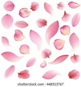 Texture from rose, sakura and lotus petals isolated on white background. seamless vector pattern, eps10 floral template