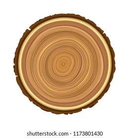texture of sawn wood brown object tree vector