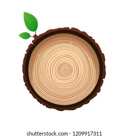 Texture of sawn wood brown object with foliage vector isolated