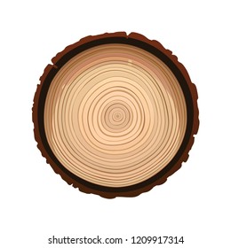 Texture of sawn wood brown object vector isolated