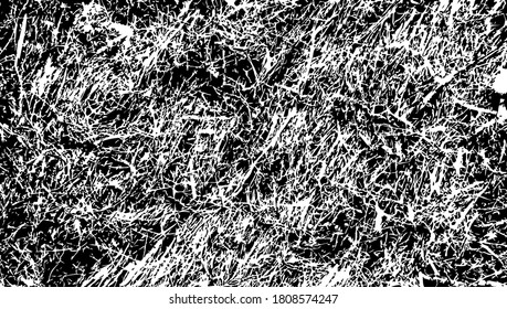 Texture of semi-dry seaweed washed out of the ocean