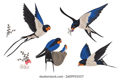 Texture set bright spring birds isolated. Vector swallows with blue plumage in different positions. Chick in nest with mom, male carrying food, branches of soft willow in bouquet, eggs