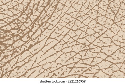 Texture of the skin elephant. Animal print. Vector illustration.