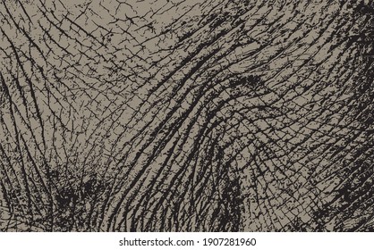 Texture of the skin elephant for background. Vector illustration