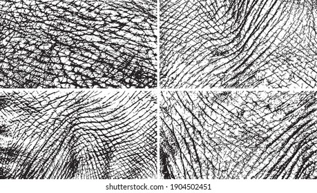 Texture of the skin elephant white and black for background. Vector illustration