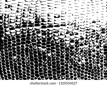 Texture of snake skin.  Grunge vector background.