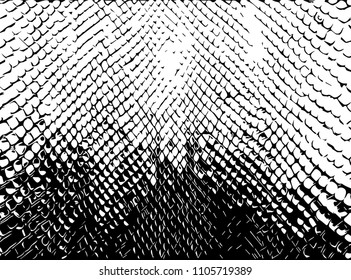 Texture of snake skin.  Grunge vector background.