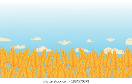 Texture. Summer. Ecology and beauty in nature. Wheat field with golden, ripe ears and transparent clouds in the background. Ecology and beauty in nature. There is room for text. Vector.