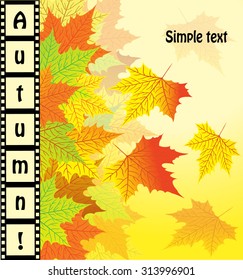 Texture with swirling autumn maple leaves and vertical lining in the form of negatives with the inscription "Autumn"