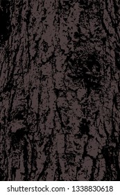the texture of the tree bark
