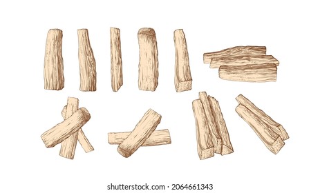 Texture tree, firewood set. Vector sketch on white background. Hand drawn rustic illustration isolated. Aroma holy sticks. Natural incense