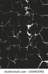 texture, vector, distress, grunge, background, tree, white, black, rough, pattern, old, wooden, backdrop, wall, wood, grain, structure, nature, overlay, abstract, vintage, timber, weathered, hardwood,