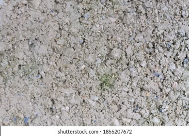 Texture vector style 
Cement floor  background and art