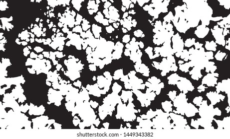 The texture of the vegetation. Grunge City Background. Abstract grunge background with retro texture. For poster, banner, city design. Strange abstract background, abstract pattern artworka design